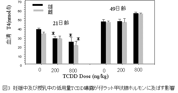 図３  妊娠中及び授乳中の低容量TCDD曝露が仔ラット甲状腺ホルモンに及ぼす影響