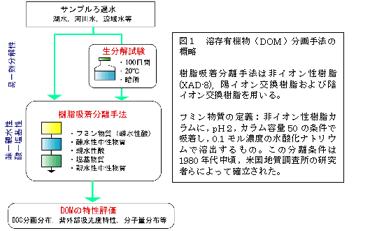 図１  溶存有機物（DOM）分画手法の概略