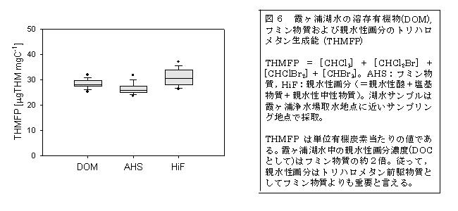 図６  霞ヶ浦湖水の溶存有機物（DOM），フミン物質および親水性画分のトリハロメタン生成能（THMFP）