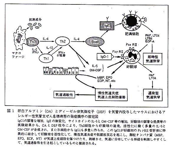 図