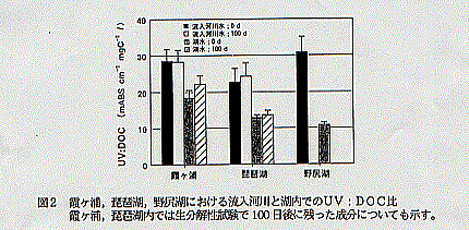 図２　霞ヶ浦、琵琶湖、野尻湖における流入河川と湖内でのUV：DOC比　霞ヶ浦、琵琶湖では生分解性試験で100日後に残った成分についても示す