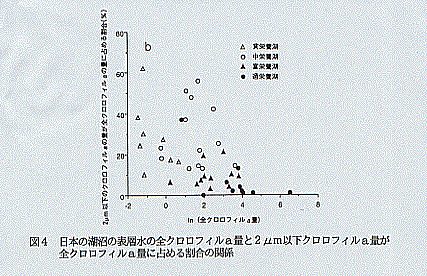図4　日本の湖沼の表層水の全クロロフォルムa量と2μm以下のクロロフォルムa量が全クロロフォルムa量に占める割合の関係