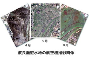 渡良瀬遊水地の航空撮影画像