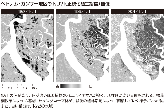 ベトナム・カンザー地区のNDVI(正規化植生指標)画像