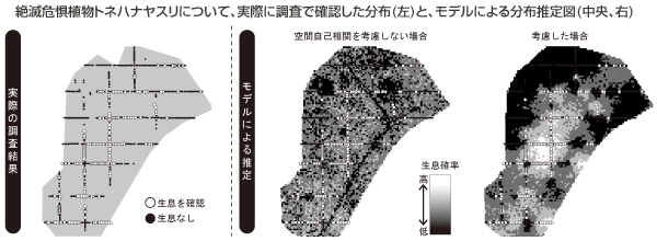 図：絶滅危惧植物トネハナヤスリについて、実際に調査で確認した分布(左)と、モデルによる分布推定図(中央、右)