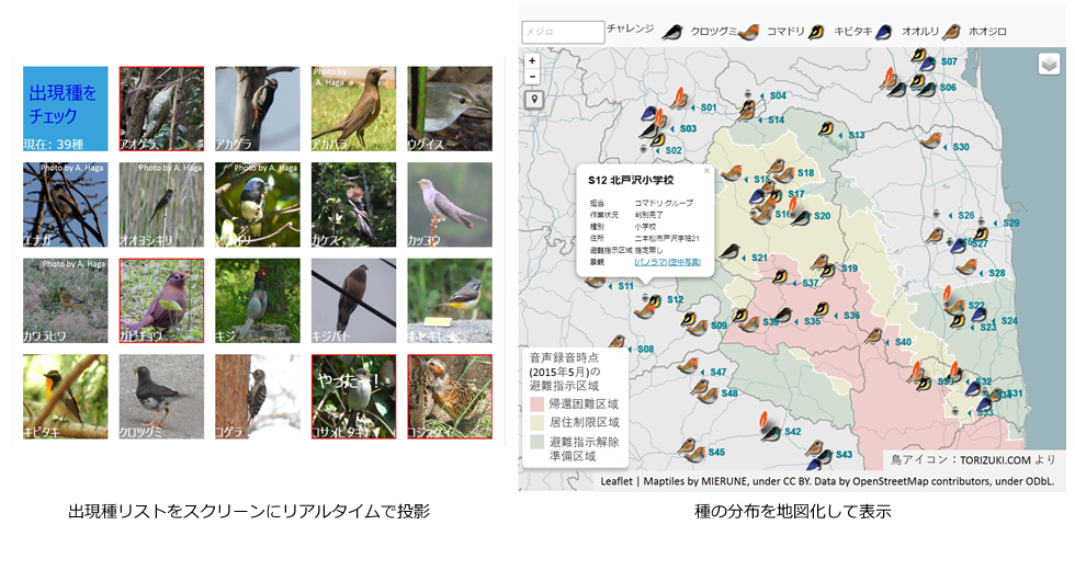 SONO-TORIを使って確認した種を図化して表示