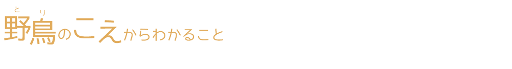 とりのこえからわかること 福島第一原発事故にともなう避難指示区域とその周辺の鳥類モニタリング