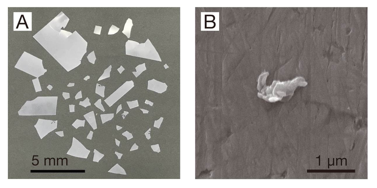 劣化・微細化試験で生成した数ミリメートル以上のプラスチック粒子と1µm程度のプラスチック粒子の写真