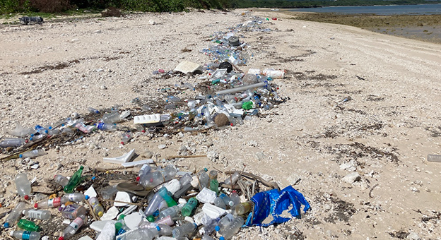 海岸のプラごみがマイクロ・ナノプラスチックになるまで