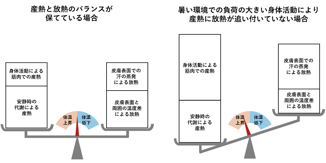 体の中で発生する熱の量を説明する図
