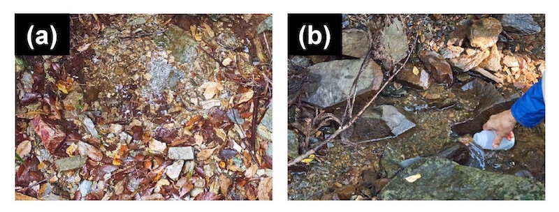 チャート地域と砂岩地域の河床岩石の写真