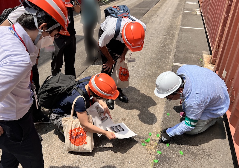 記事のサムネイル画像