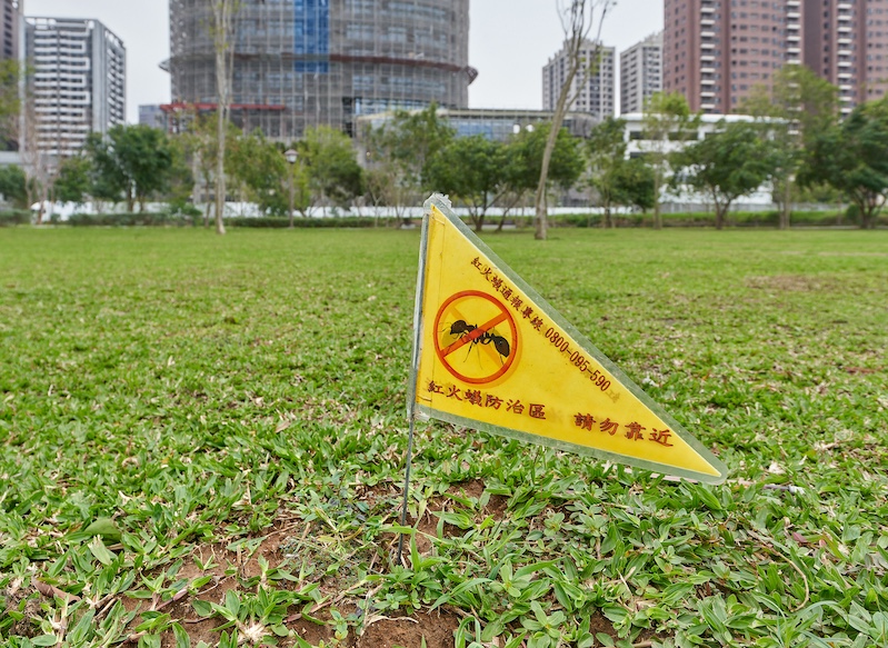 記事のサムネイル画像