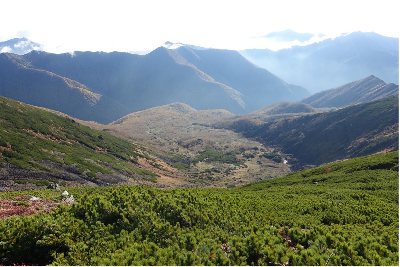 日高山脈・幌尻岳山頂付近の風景の写真