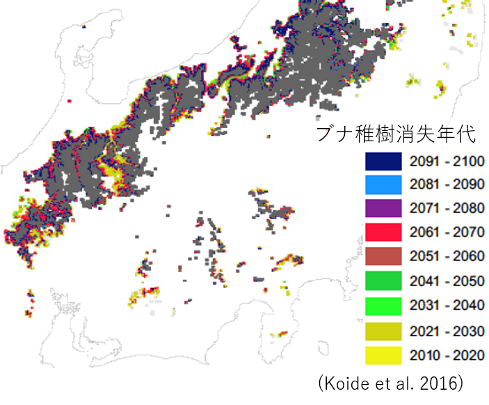 ブナ稚樹消失の図