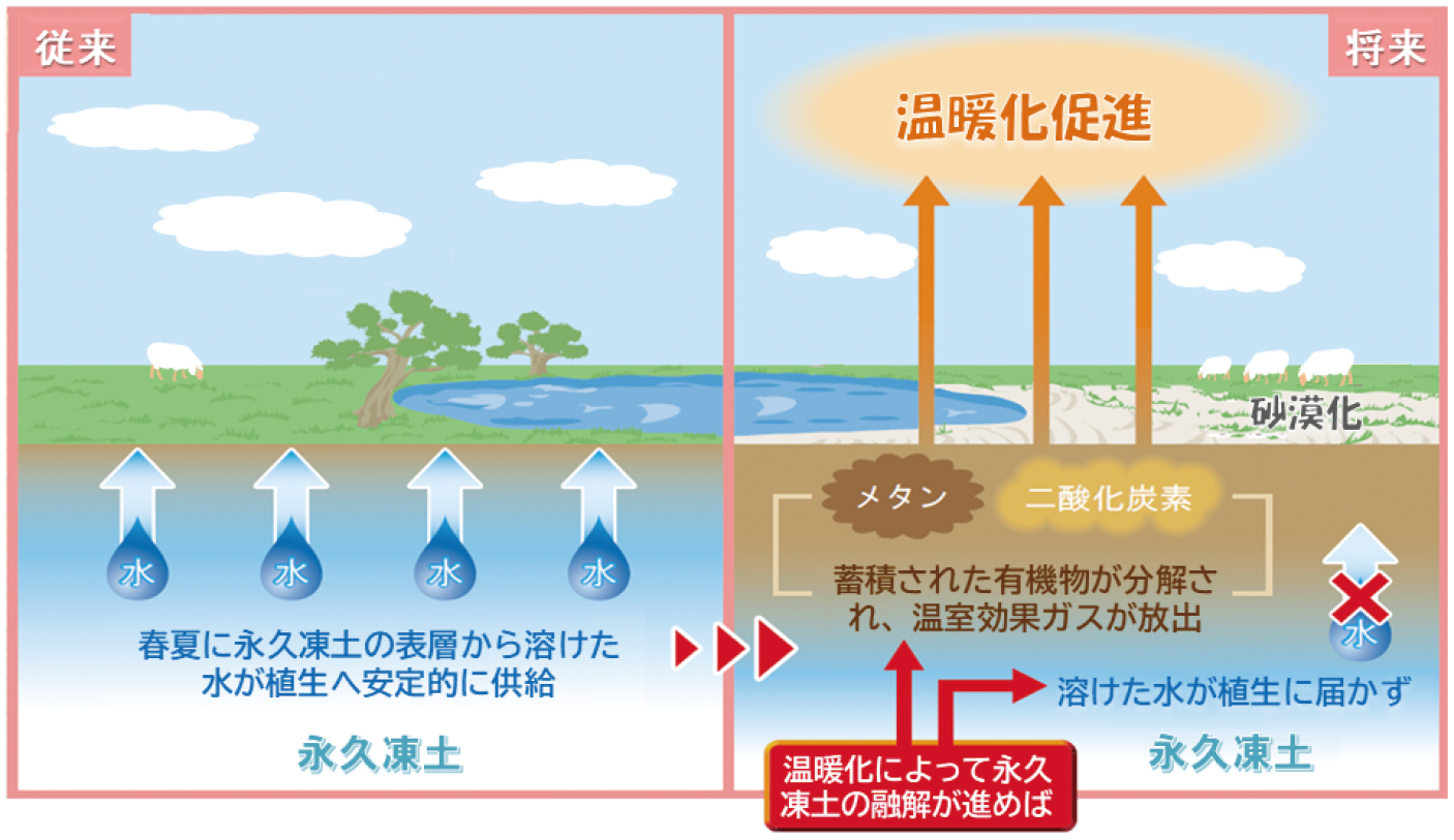 永久凍土の融解による草原生態系への影響図
