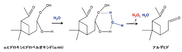 エアロゾル中でα-HHが水分子と反応し、過酸化水素（H2O2）とアルデヒドを生成するメカニズムの図