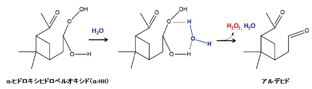 エアロゾル中でα-HHが水分子と反応し、過酸化水素（H2O2）とアルデヒドを生成するメカニズムの図