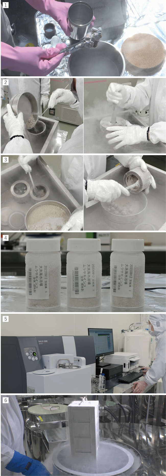 長期保存用均質化試料（二枚貝）の作製手順の図