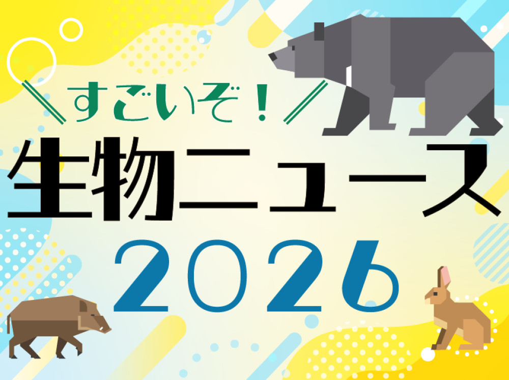 〈１〉トークイベント｜＼研究者が語る／すごいぞ！生物ニュース2026の写真