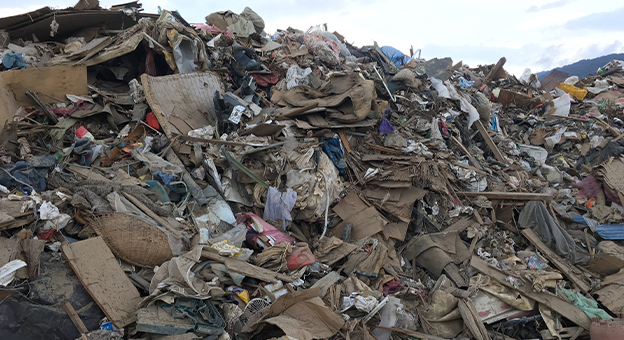 災害ごみはどれくらい出る？