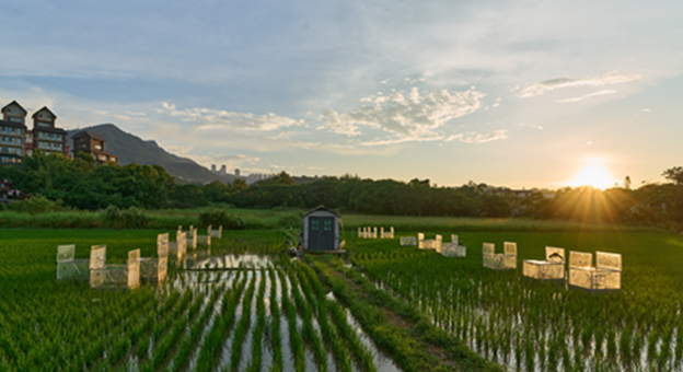 台湾大学との共同研究の現場を訪れました！事務職員の出張レポート vol.2
