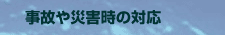 ̂ЊQ̑Ή