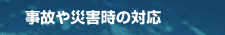 ̂ЊQ̑Ή