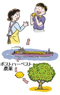 イラスト