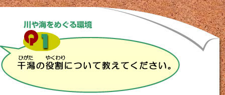 Q1)合成洗剤と石けんは、どちらが環境によいのですか?