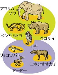 イラスト