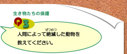 Ｑ3）人間によって絶滅した動物を教えてください。