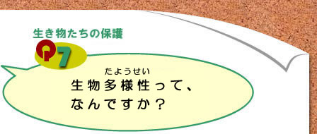 Q7)生物多様性って、なんですか?