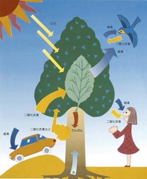 イラスト