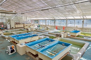 水環境実験施設写真１