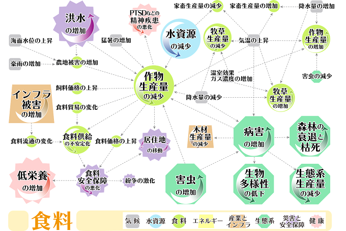 食料分野における気候変動影響の連鎖を表した図