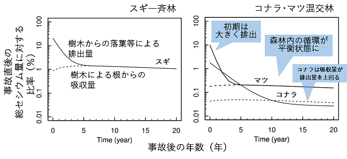 スギ一斉林・コナラ・マツ混交林におけるセシウムの循環量のコンピュータシミュレーション推定結果を表した図