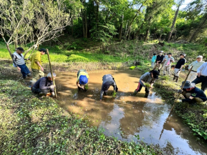 湿地の整備活動の写真