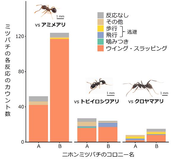 図2のグラフ画像