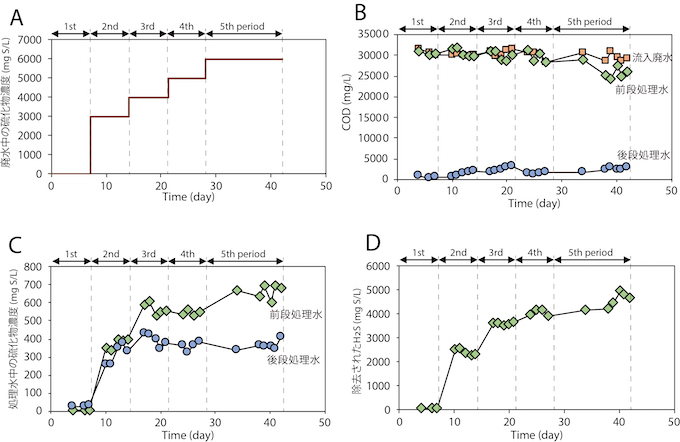 試験結果のまとめ図