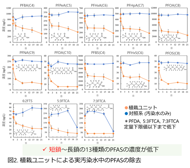 植栽ユニットによる実汚染水中のPFASの除去の図
