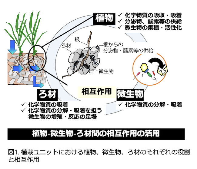 植栽ユニットにおける植物、微生物、ろ材のそれぞれの役割と相互作用の図