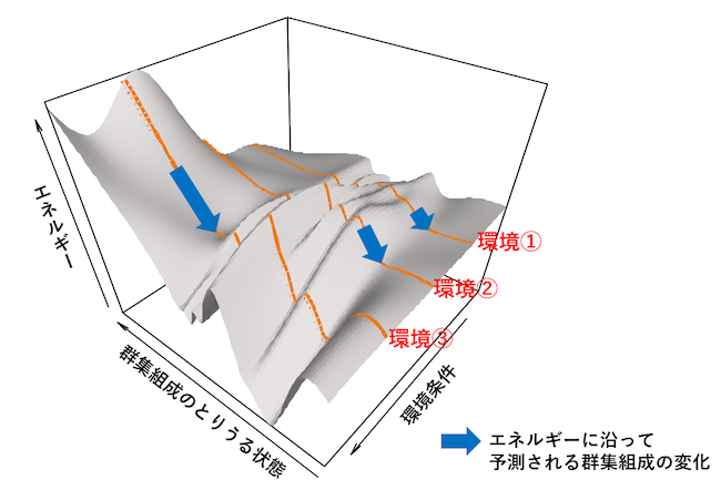 実際の生物群集組成データから推定されたエネルギー地形の例の図