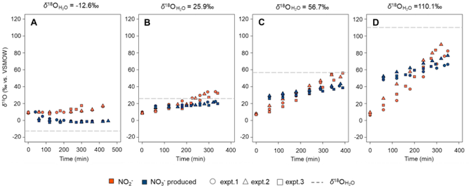 アナモックス反応で生成されたNO3-の酸素同位体比（δ¹⁸NO3-、青色のマーカー）が水の酸素同位体比（δ¹⁸H2O、点線）に近づいている図