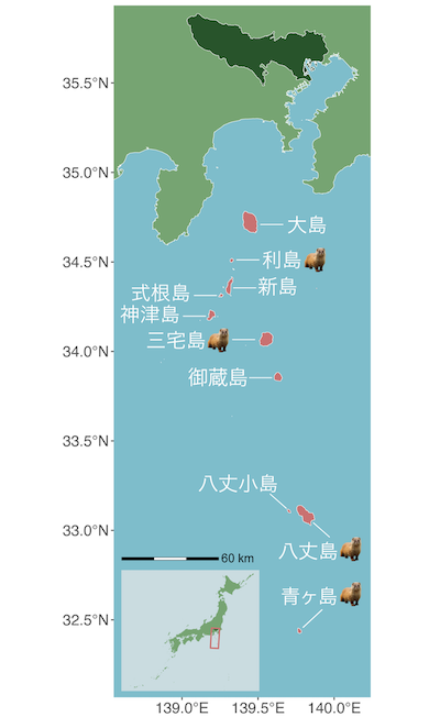 調査地の概要図