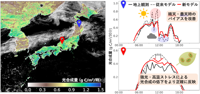 気象衛星ひまわりで推定した光合成量の分布と、30分ごとに推定された光合成量の変化を従来モデルと新モデルで比較した結果の図