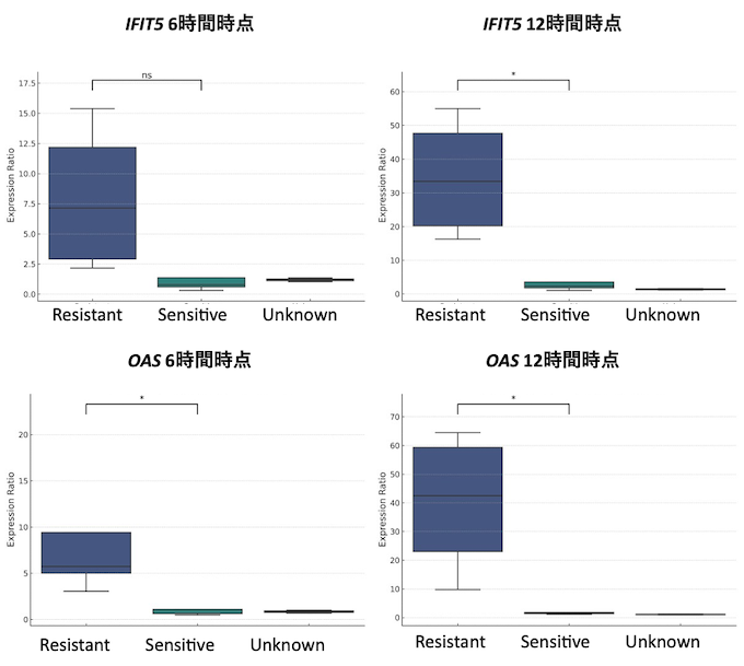 IFIT5遺伝子とOAS遺伝子の抵抗性（Resistant）、感受性（Sensitive）、感受性不明（Unknown）鳥類種間での発現量変化の図