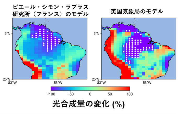 地球システムモデルにおけるアマゾン熱帯雨林の局所的な枯死領域の図
