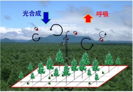 CO2の吸収・放出量の観測手法の概略図