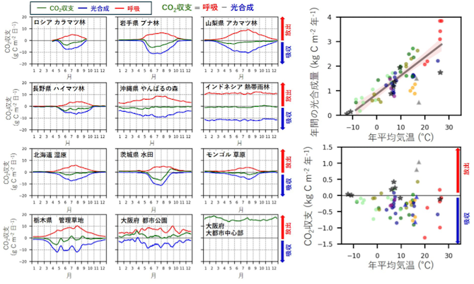 いくつかの生態系・都市を対象としたCO2収支の平均的な季節変化パターン図